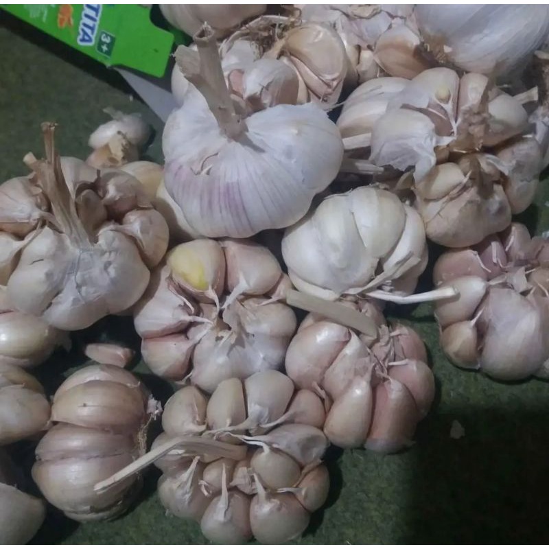 

Bawang putih