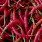 

cabai merah keriting fresh per 500gram