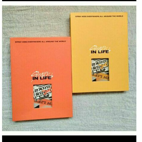 [READY]ALBUM ONLY STRAYKIDS IN LIFE