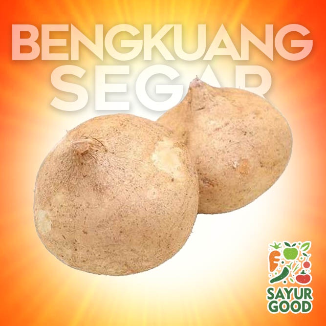 

Bengkuang Segar / Buah Bengkuang 1 Kg (Buah Segar)