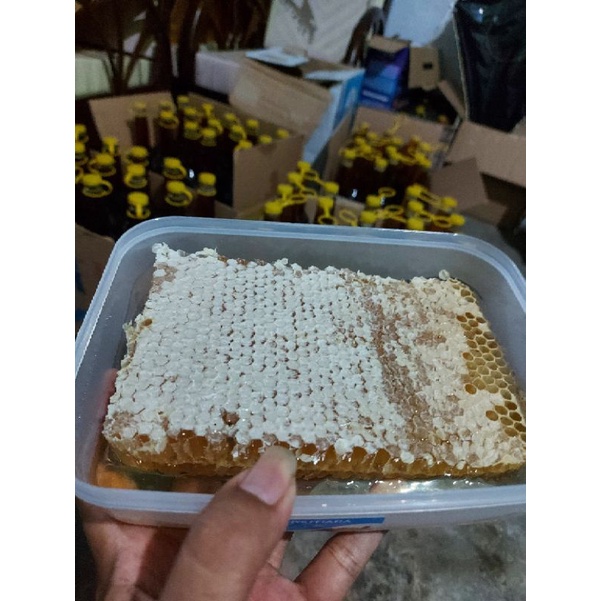 

madu asli,madujamu,kecantikan,kesehatan,maduaslidarisarangnya