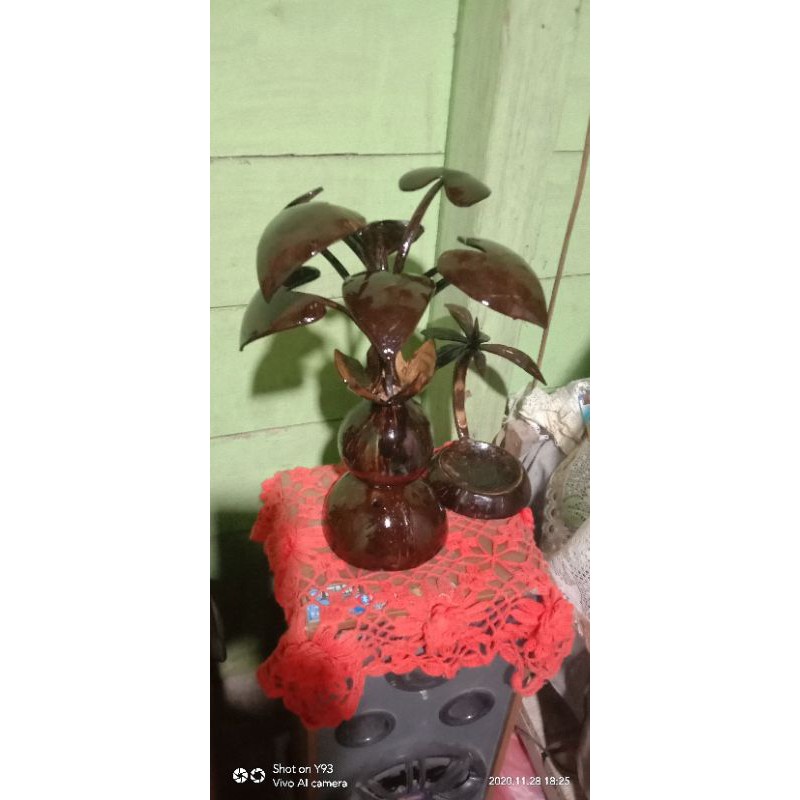 

bunga tempurung kelapa