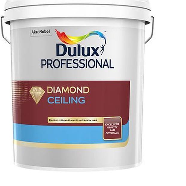ʖ Cat Plafon Gypsum Dulux Pentalite Ceiling Warna Putih Kemasan 25 Kg Shopee Indonesia