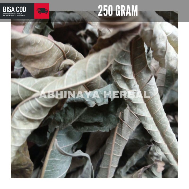 

Daun sungkai kering - daun herbal sungkai 250 gram