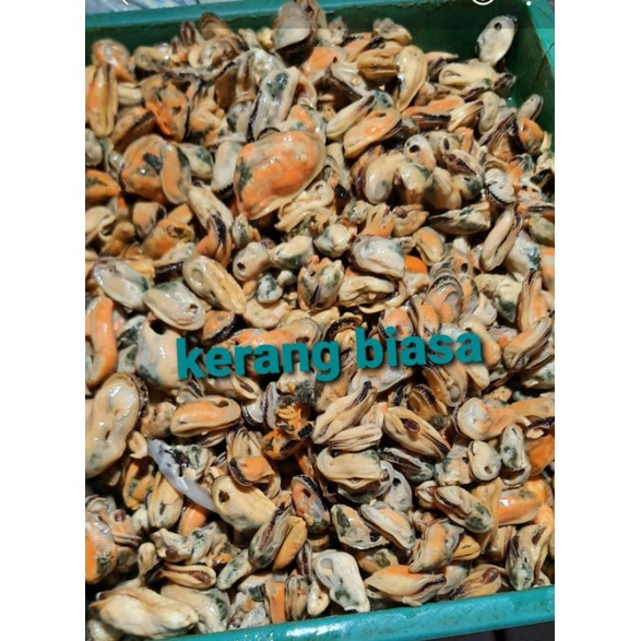 

Kerang ijo segar250grm