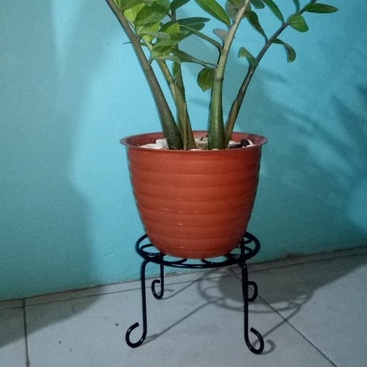 SUSANA PROJECT Tatakan pot/ Tatakan pot bunga besi/ Tatakan pot motif