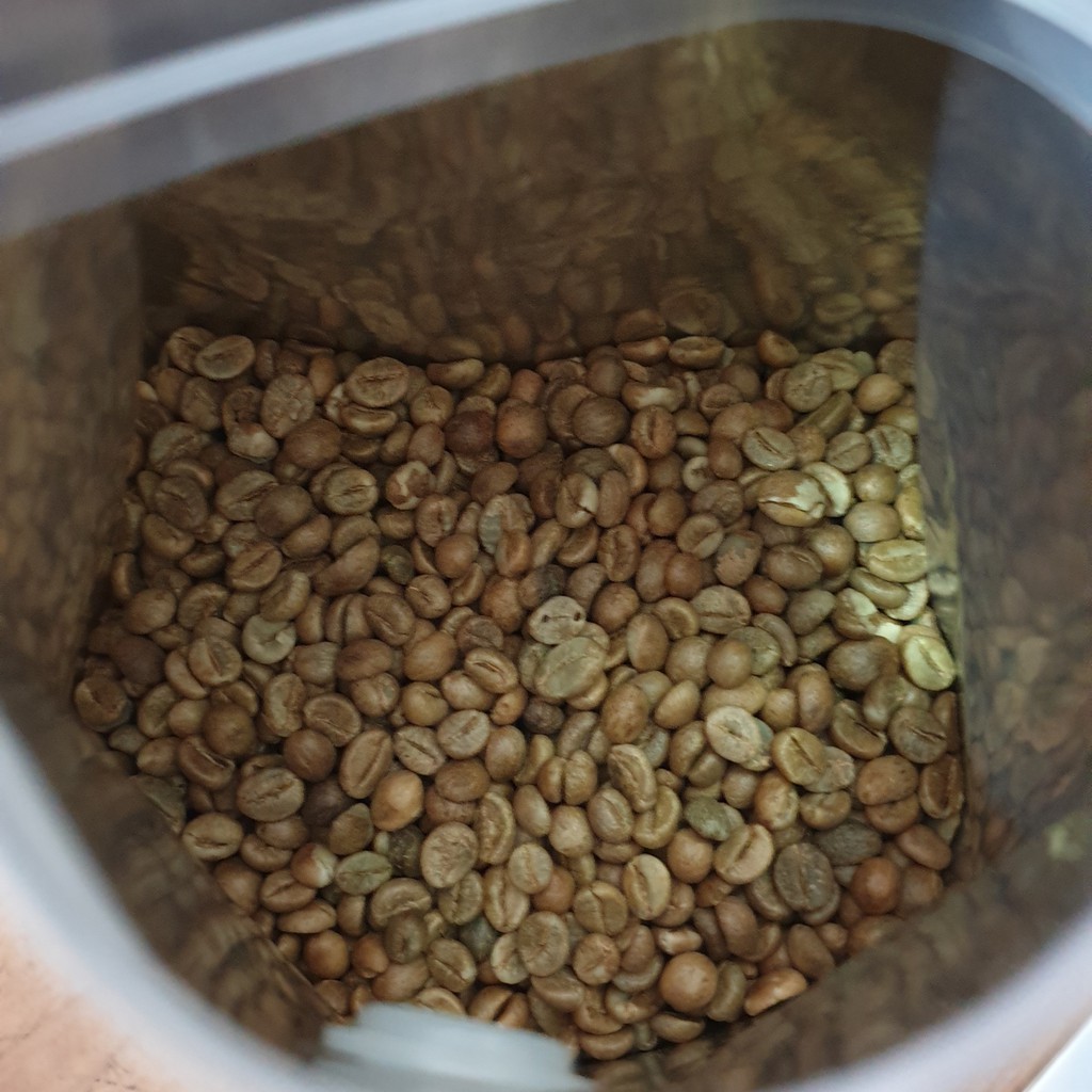 biji kopi mentah robusta sumbawa tepal 1kg   asalan   green bean