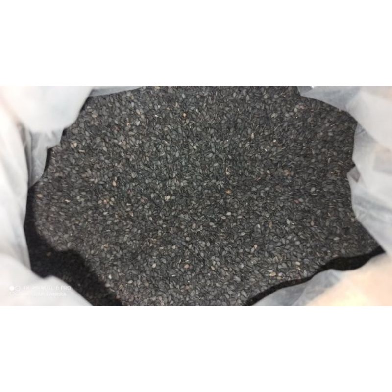 

Biji Wijen hitam