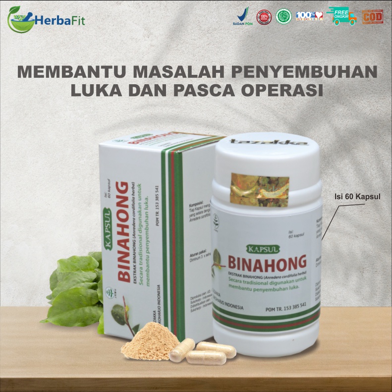 Jual Binahong Kapsul Original Untuk Obat Luka Pasca Operasi Isi