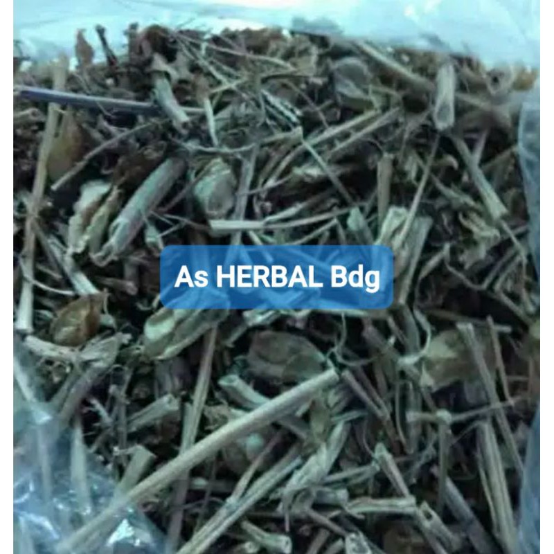 

Ready Daun Ciplukan Cecenet Kering Paket 300 gram-az