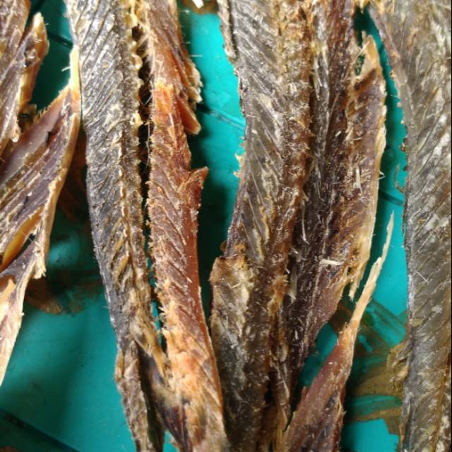 

IKAN ROA BERSIH