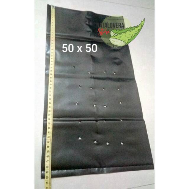 POLYBAG 50 X 50