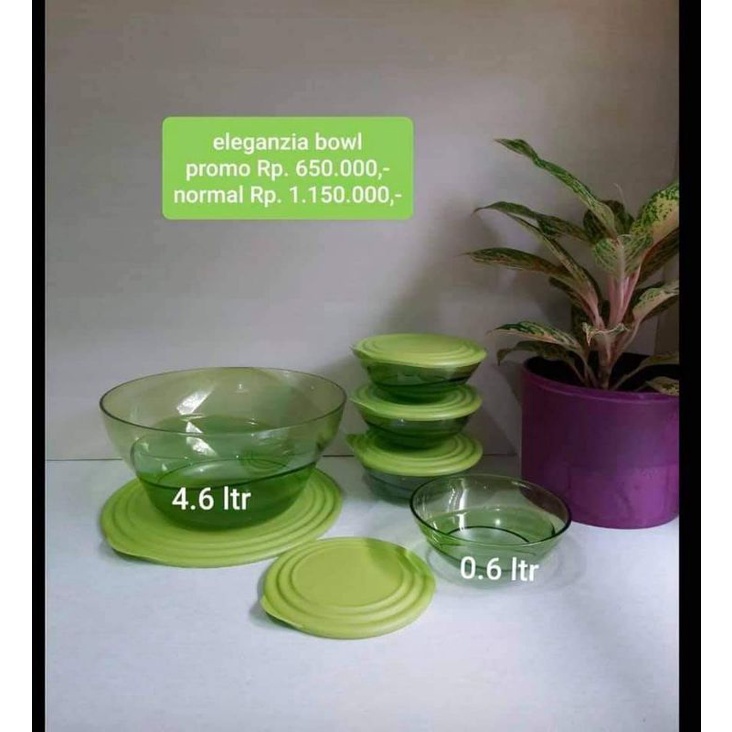 eleganzia bowl Tupperware (ECER) mangkuk saji hijau bening