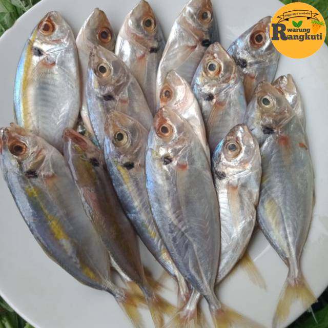

Ikan Selar Segar 500 gr
