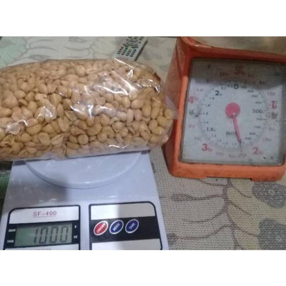

Buruan Dicoba Kacang bawang 1kg #TREND