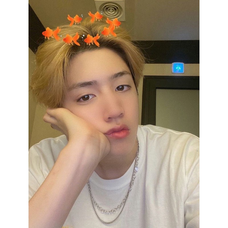 album pentagon lot sealed