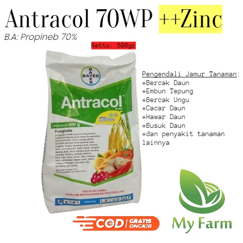 Fungisida Antracol 70Wp 500Gr. Bahan Aktif Propinep 70%/Obat Semprot/Obat Jamur Tanaman