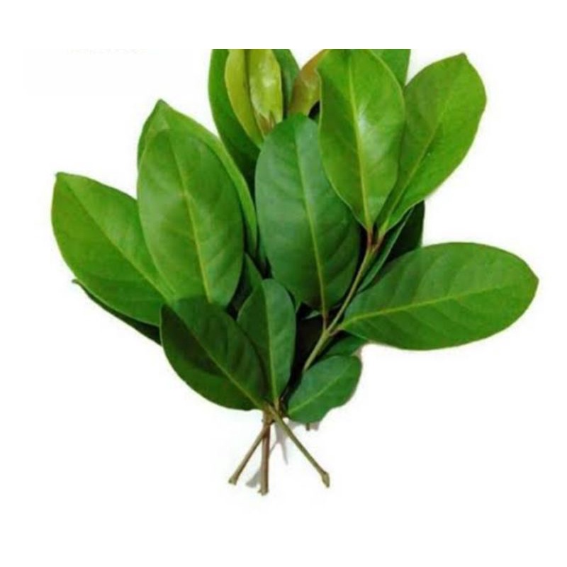 

DaunSalam