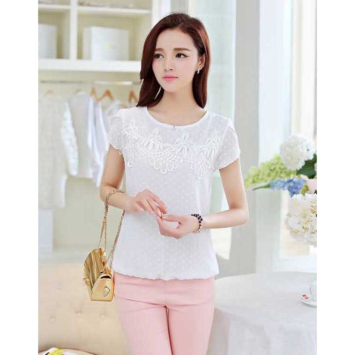 blouse import T3270