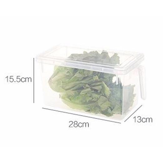 Strongwell Kotak Kontainer Makanan Kulkas Kitchen Storage Food Box 31x15.6x13CM - SW804-M - Transparent