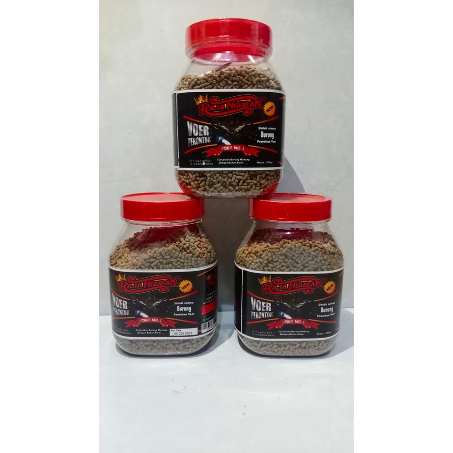 VOER RAJA NGURAK VOER PERONTOK BULU SOLUSI BURUNG SUSAH MABUNG