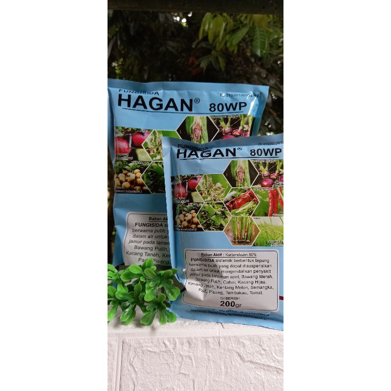 Hagan 80 WP Fungisida 500 gram,200gram