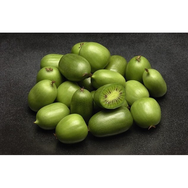 5 benih biji buah kiwi berries /kiwi mini