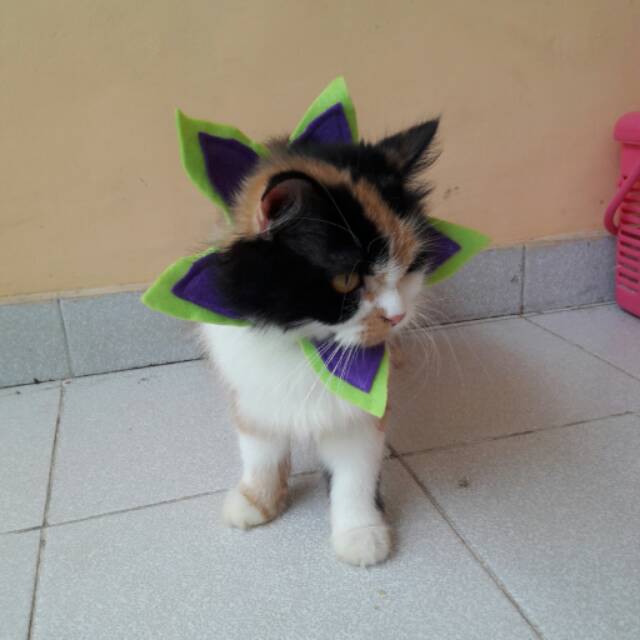 Collar hias untuk kucing &amp; anjing /Jual Baju Kucing Terlengkap &amp; Berkualitas size S-XL