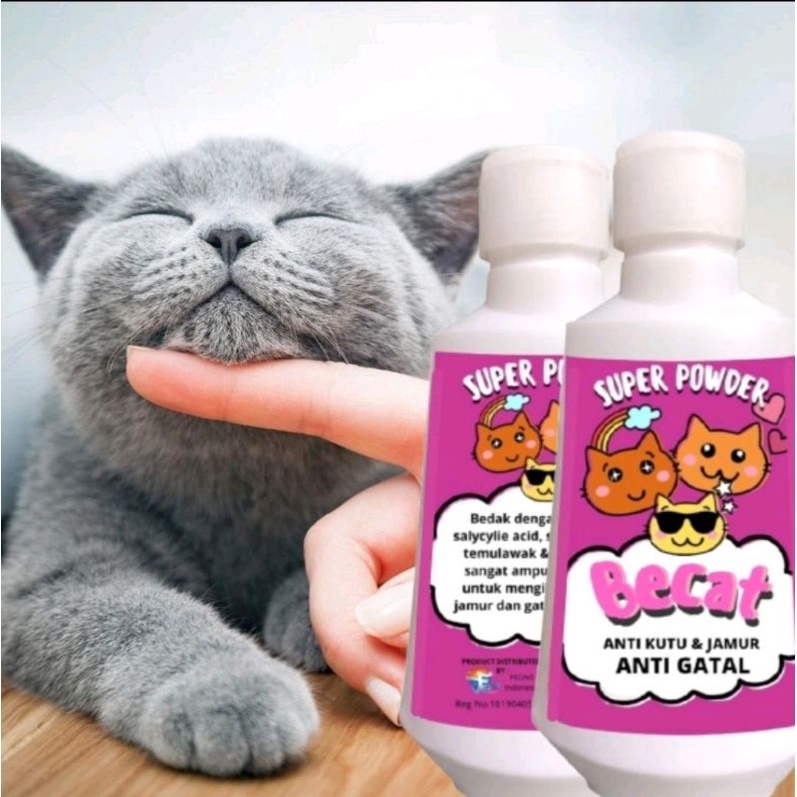 Bedak  Kucing kitten Anti Kutu Jamur Scabies Grooming Kucing Bedak Kutu Kucing FEFARM