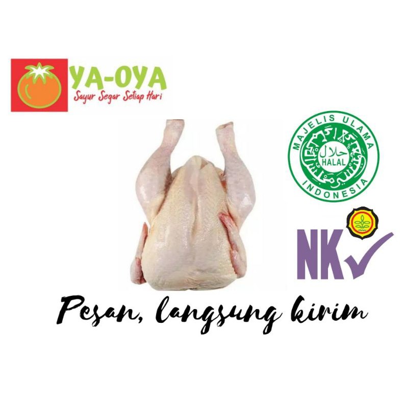 

AYAM BROILER / AYAM NEGRI UTUH HIGIENIS HALAL UTUH 900gr