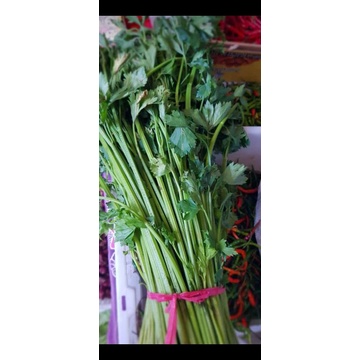

Daun bawang seledri