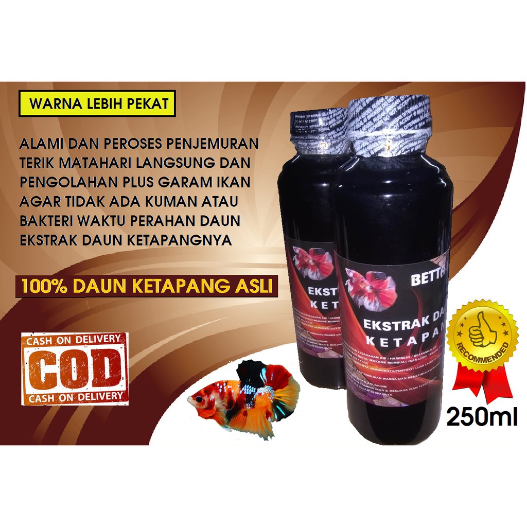 

EKSTRAK DAUN KETAPANG 250ML MURNI 100%