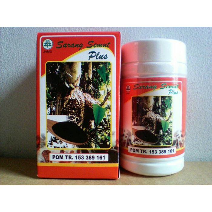 Kapsul Sarang Semut Papua