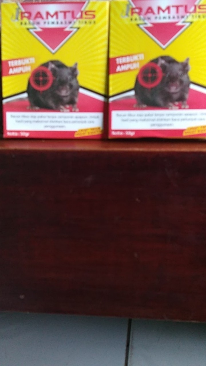 Racun Tikus Ramtus Asli Alami Mati Kering Tidak Bau Pembasmi Pengusir Tikus Super Paling Ampuh 2pack