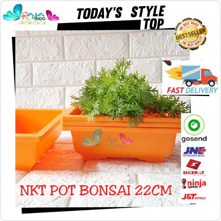 Pot Bonsai 01 Nkt 22 Cm Pot Kotak Bonsai Ceper Hitam Orange Hijau Putih - Bukan Pot Keramik Gabah