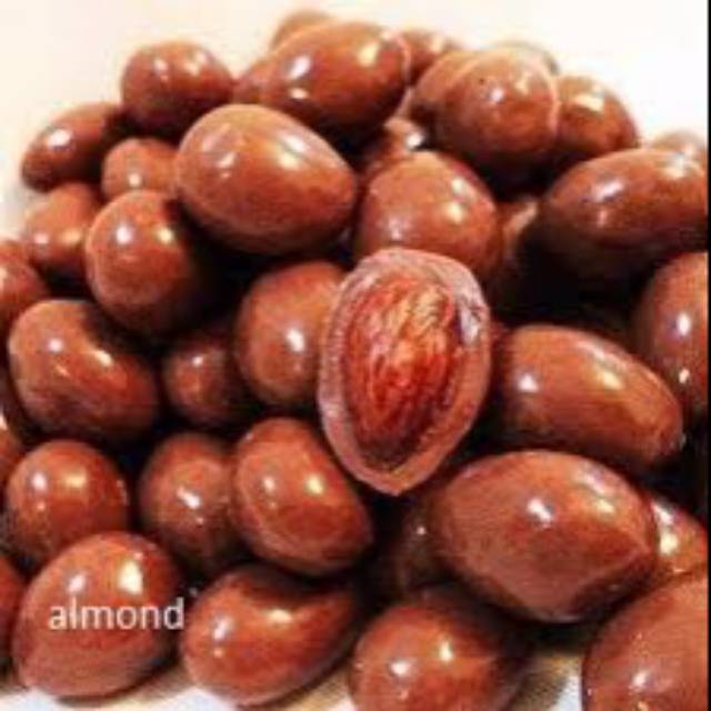 

Coklat cokelat delfi almond 500gr original murah