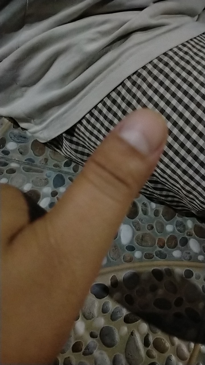 Engsel Pintu Plastik Pvc Putih Kamar Mandi 11.5 Cm / 4.5 Inchi Dengan Panjang Total 6 Inch