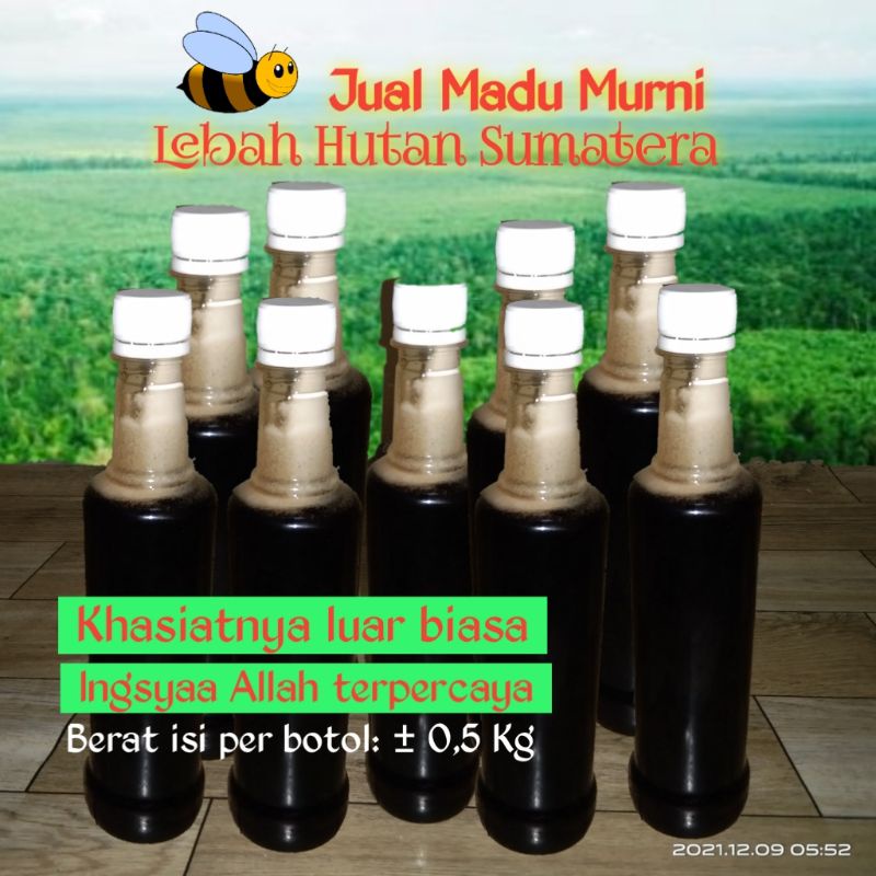 

Madu Murni Sumatera (Al-Fatah Palembang)