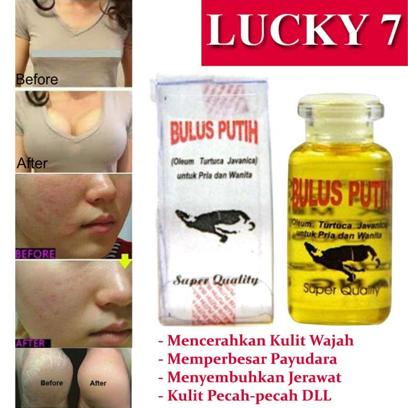 KUNTZE MINYAK BULUS ORIGINAL BPOM