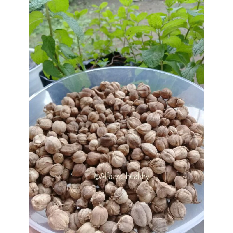 

KAPULAGA (Cardamon) murni 15GR - 100GR