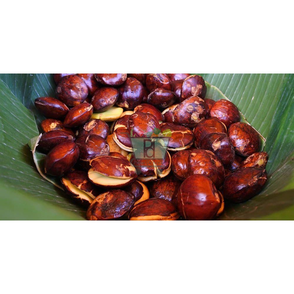 

Jengkol 250 Gram