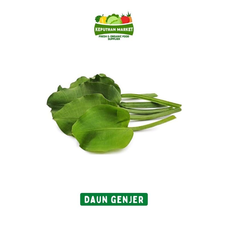 

Daun Genjer Per Ikat / Produk Langka