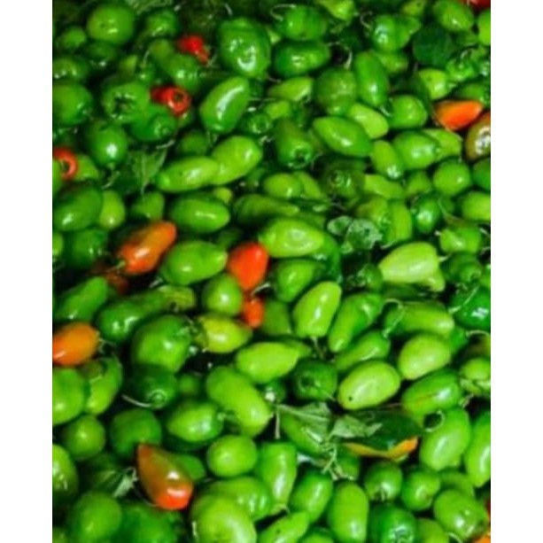 

Cabe Bendot / Cabe Gendot