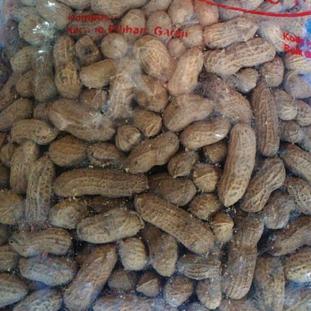 

Kacang kulit 500 gram