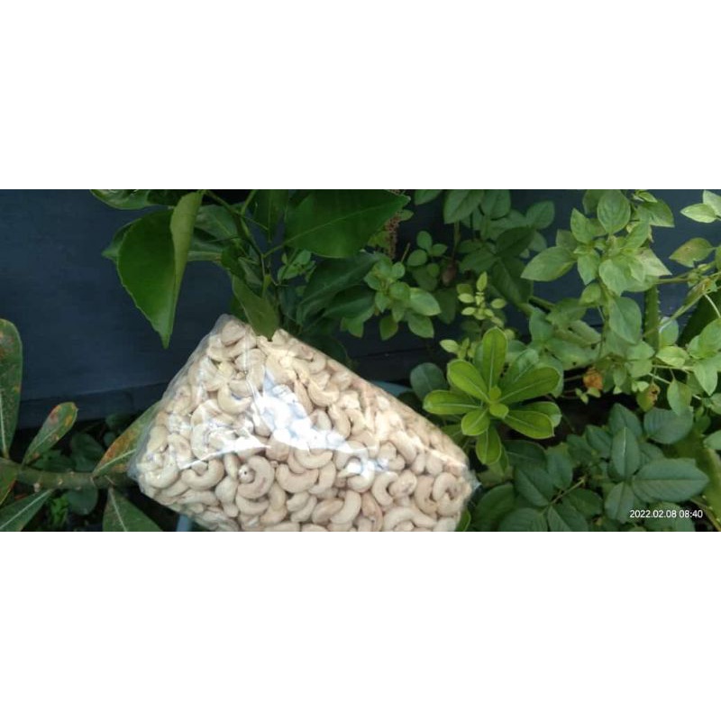 

Kacang Mente / mede ( Super )