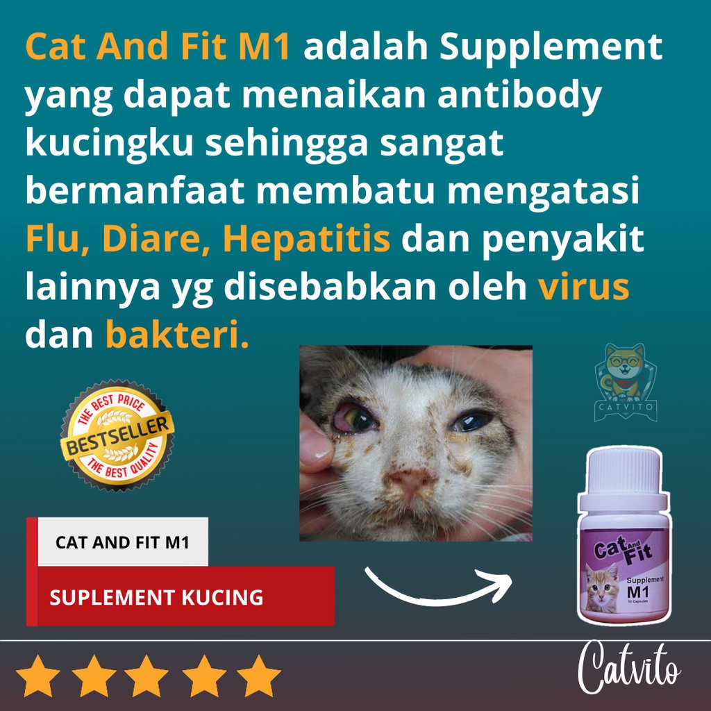 OBAT KUCING FLU PILEK MATA BERAIR DAN DIARE CAT AND FIT M1