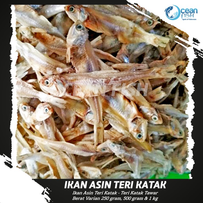 

Ikan Asin Teri Katak Tawar - Tanpa Pengawet - Teri Katak Ikan Asin - Ikan Teri Katak Kering Higienis