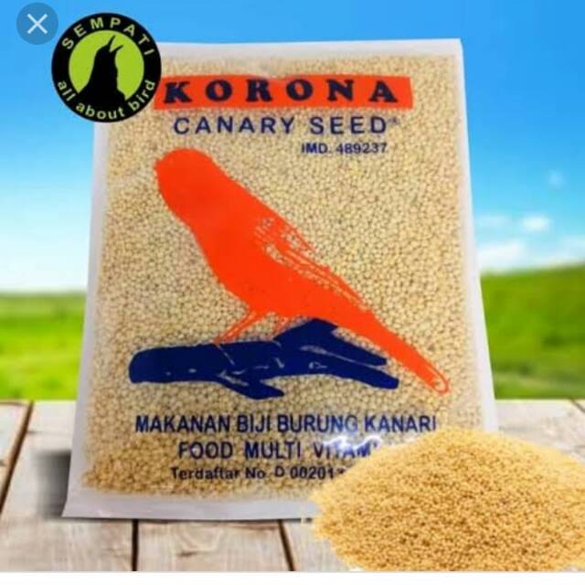 

KORONA cnary seed