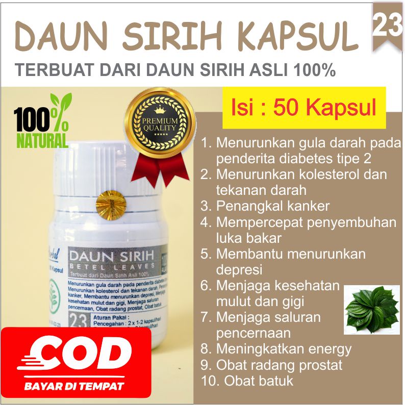 

Daun sirih kapsul obat kolesterol radang prostat tekanan darah diabetes