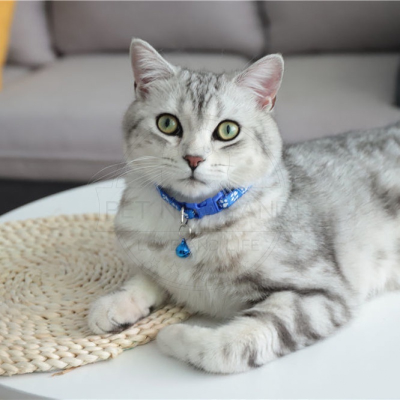 Kalung Kucing Kalung Anjing Kalung Kucing Lonceng Murah